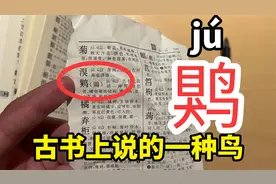 䴗（ju）：古书上说的一种鸟，嘴坚硬而锐利