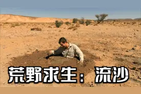 如果不小心掉入流沙之中，贝爷告诉你如何快速自救视频封面