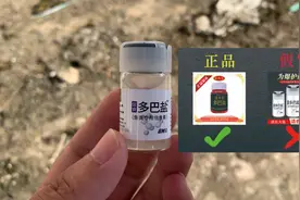 什么是多巴盐？多巴盐钓鱼效果怎么样？水下测试告诉你答案！