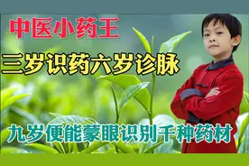 中国又出“神童”，三岁识药六岁诊脉，九岁便能蒙眼识别千种药材视频封面