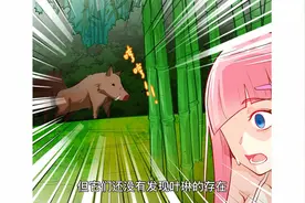 荒岛遭遇野猪群，是福还是祸视频封面