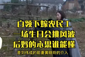 白领下嫁农民工，一场生日会挑风波，后妈的心思谁能懂视频封面