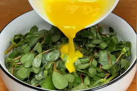 往马齿苋里加2个鸡蛋，比凉拌的还香还好吃，做法简单营养又美味