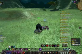 魔兽世界牛头人德鲁伊16-最后可以变猎豹了