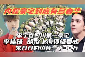 李佳琦上亿复式，张国立1.5亿山庄，再看李宇春3亿别墅才是天花板视频封面