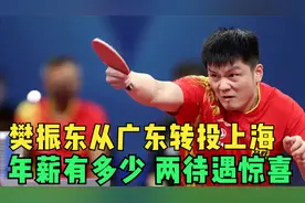 从广东转投上海，樊振东年薪有多少？两待遇惊喜，陈梦经历给答案