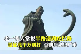 农村老人常说：半路遇到蛇拦路千万别打，后果很严重！是真的吗？