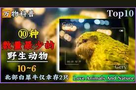 10种数量最少的动物，第一名仅有两只，通天河的大乌龟仅剩4只视频封面