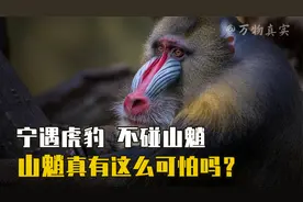 民间传说中吃人的山怪：山魈究竟有多恐怖？为何让人谈之色变？