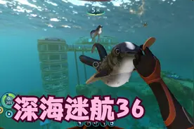 深海迷航36：终于找回了最后两只抱抱鱼，从此我又多了两只小跟班