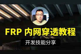 Frp 内网穿透一个视频教会你，网站可以在任何地方访问了，舒服