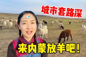 大城市求职艰难咋办？内蒙这份工作月入上万，东家包吃住太幸福了视频封面