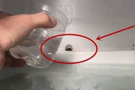 冰箱里藏了机关，倒杯水进去，冰箱不再结冰结霜，方法真棒视频封面