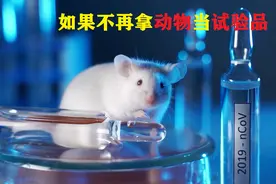 如果人类不再用小白鼠做实验会发生什么？该怎么试药？有影响吗视频封面