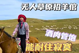 内蒙姑娘遍地家产：招羊倌1月2斤肉不限酒，无人草原能耐住寂寞吗视频封面