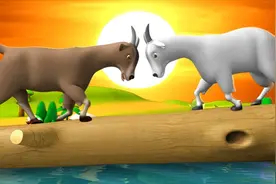 山羊大碰撞：童年回忆系列，大羊顶小羊看谁眼力快视频封面