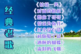 DJ柔情女声《精选8首》磁性嗓音，醉人旋律，醇美风景，放松心情视频封面