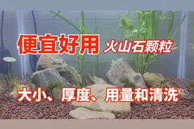 鱼缸底砂用什么好？便宜好用，龟缸火山石颗粒大小铺设厚度和清洗