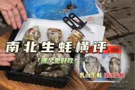 湛江生蚝和山东乳山生蚝大横评！哪一个更好吃？