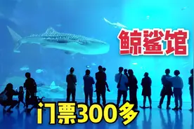 珠海厉害了，全球最大的海洋馆长隆海洋王国，鲸鲨馆太震撼人心了