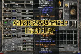 暗黑2双热圣骑士毕业装，实战效果如同切菜