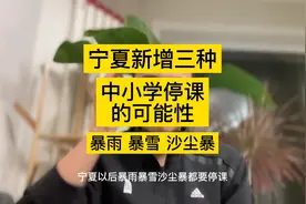 宁夏新增三种中小学停课标准，暴雨暴雪沙尘暴要停课 红色预警