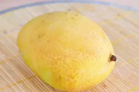 切芒果别用老一套了，教你这种最新切法，简单不脏手，看一遍就会视频封面