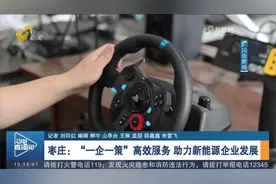 枣庄：利用“一企一策”高效服务，助力新能源企业发展视频封面
