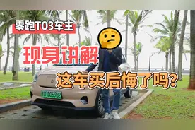 零跑车主，用真实感受告诉你，年销4万的零跑T03到底买坑了吗视频封面