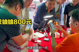 实拍河南蛐蛐市场交易，一只蛐蛐要价800看看啥品相，多钱能成交视频封面