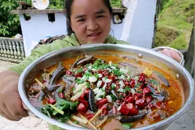 野生黄鳝38元一斤，苗大姐吃起来不吐骨头，女人中的骨头粉碎机