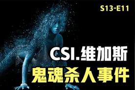 灵异主播屠宰场直播惨死，奇异“鬼魂”杀人事件。《CSI》