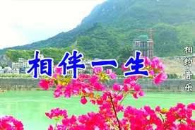 一首情歌《相伴一生》致天下夫妻，甜甜蜜蜜，相亲相爱一辈子！