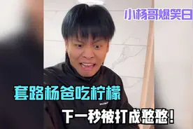 小杨哥套路杨爸吃柠檬：下一秒被打成憨憨！盘点小杨哥爆笑日常