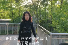 燕子最具有灵性，在家搭窝预示着什么？农村媳妇恍然大悟差点做错视频封面