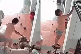 一女子徒手淡定抓老鼠，揪住尾巴往墙一甩打晕，男人看了都佩服视频封面