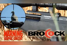 国外合法狩猎视频，布罗科克狙击手牧场狩猎下鸟，快乐总是很纯粹视频封面