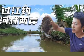 千米线绳，100只钓钩，游钓甲鱼视频封面