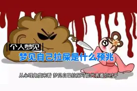 梦见自己拉屎是什么预兆视频封面