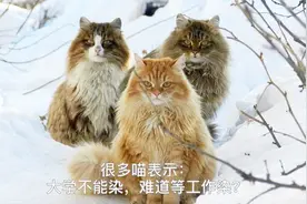 某高校大学生禁止染发？我的毛发我做主！