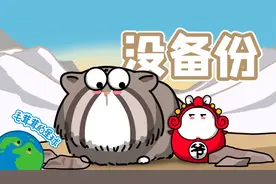 【兔狲】为什么叫兔狲不叫兔爷？视频封面