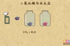 08.二氧化碳的化学性质--与水的反应视频封面