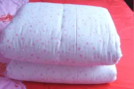 被子睡久有味道？教你简单一招，不用晒不用洗，去除异味真干净视频封面