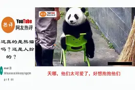 熊猫宝宝滑稽表现让老外怀疑人生，外国网友：你确定不是人扮的？视频封面