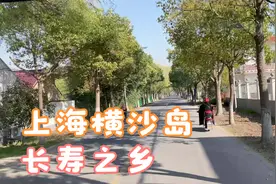 上海三万人口生态小岛，个个百万富豪，长寿之乡