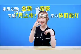 家用之王！全新一代帝豪有望7月上市！颜值、实力依旧能打