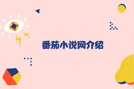 两分钟带你认识番茄小说网