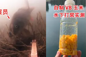 用维生素B2泡的嫩玉米打窝效果怎么样？水底实拍打窝测试为你呈现