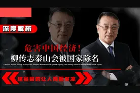 危害中国经济！柳传志泰山会被国家除名，建会目的让人背后发凉视频封面