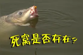 野钓，究竟存不存在“死窝”一说？野钓的科学本质系列